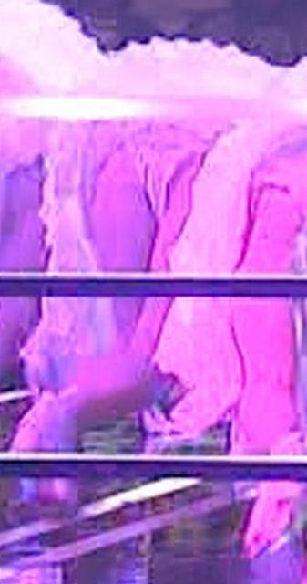 レコード大賞でAKB48がミニスカート衣装からお尻パンツ丸出し放送事故画像